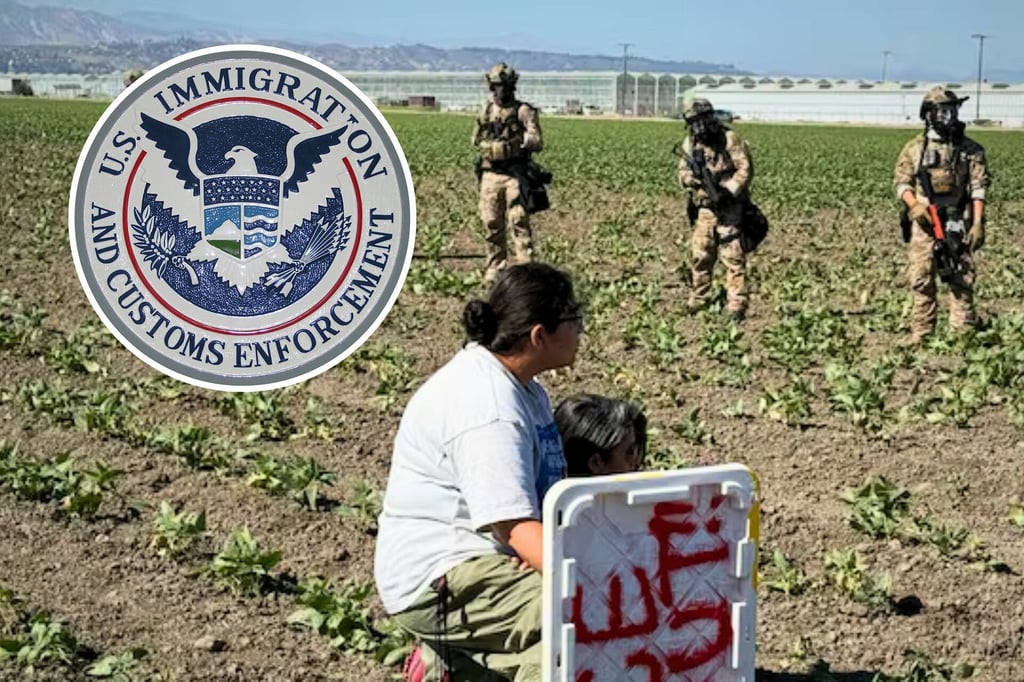 Crisis Migrantes: Detienen a 319 migrantes durante redadas en granjas agrícolas en California