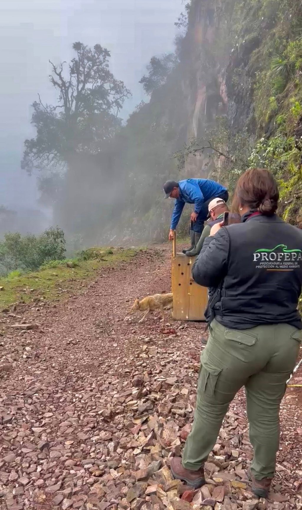 Regresan. Finalmente los ejemplares ya se encuentran nuevamente en casa y con una segunda oportunidad de vida.