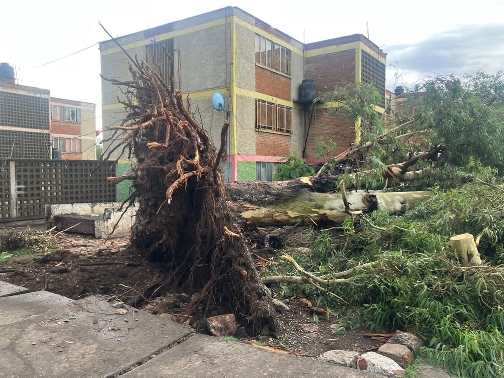 Tormenta azota a Durango