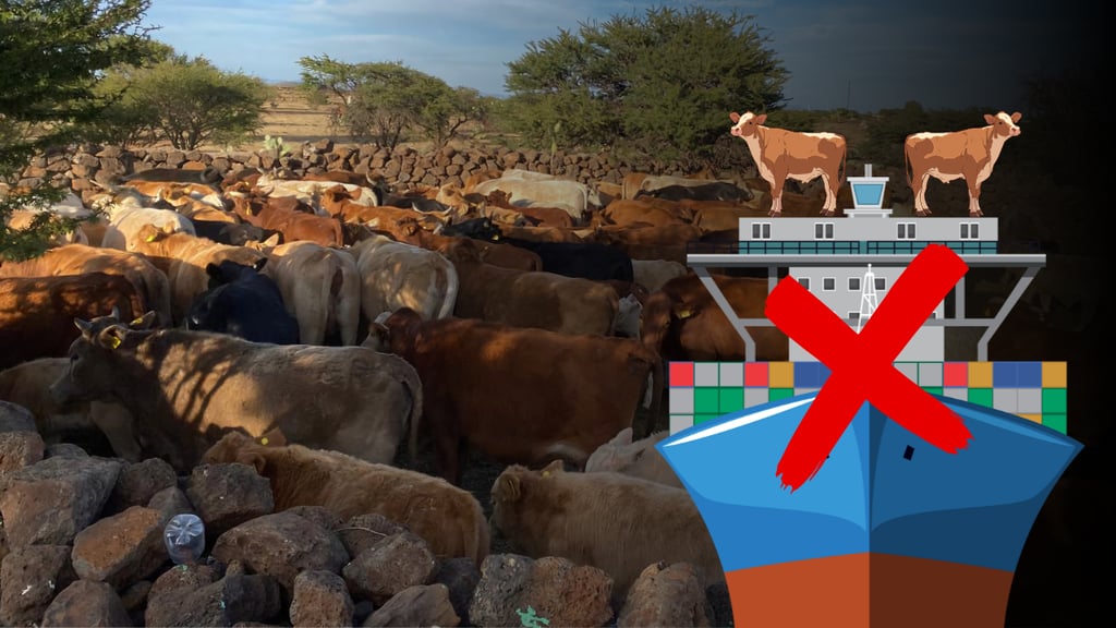 Durango, sin necesidad de importar ganado de Nicaragua: SAGDR