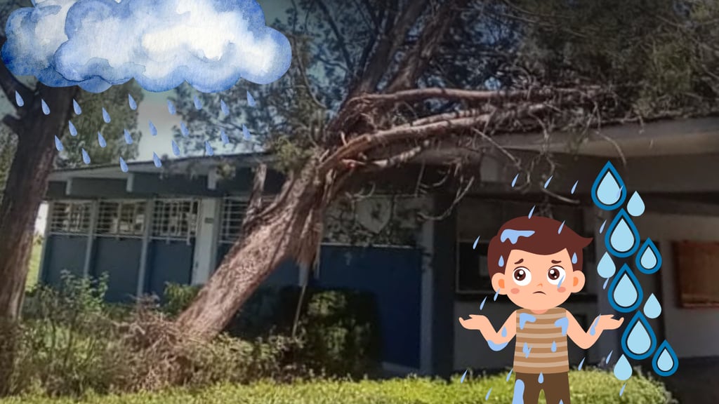 Estas escuelas de Durango reportaron problemas de goteras y filtraciones; urgen solución