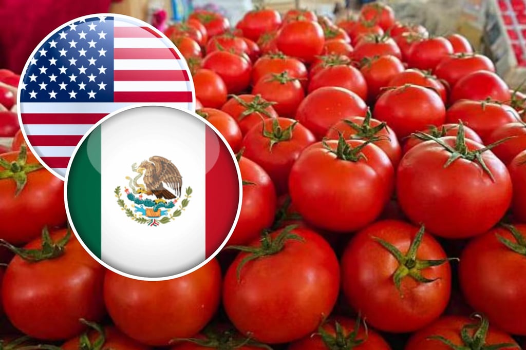 EU confirma entrada en vigor de cobro de al jitomate mexicano; será de 17%