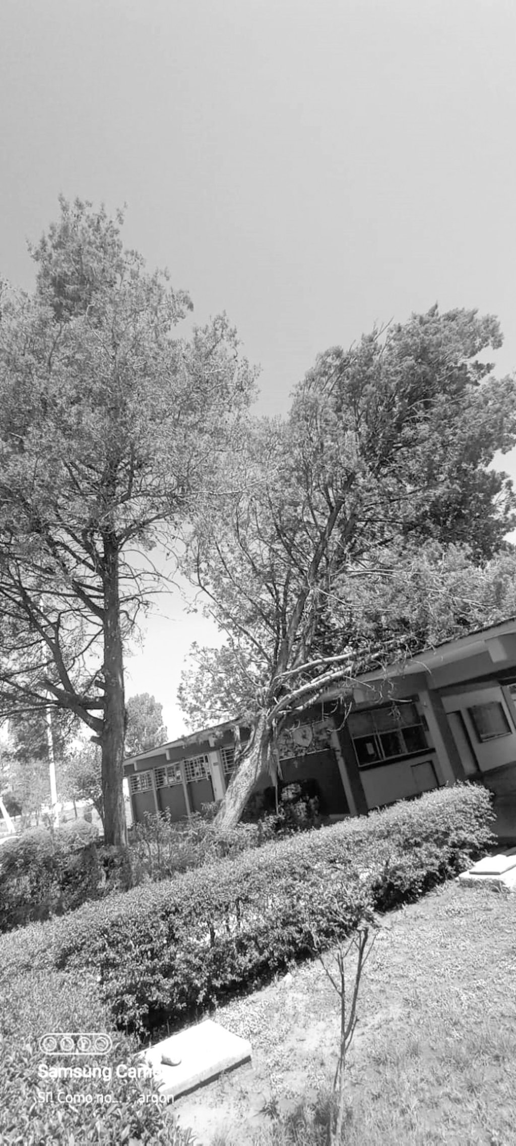 Agua. Apenas se está iniciando la temporada de lluvias y ya se reportan muchas goteras y filtración de agua en salones.