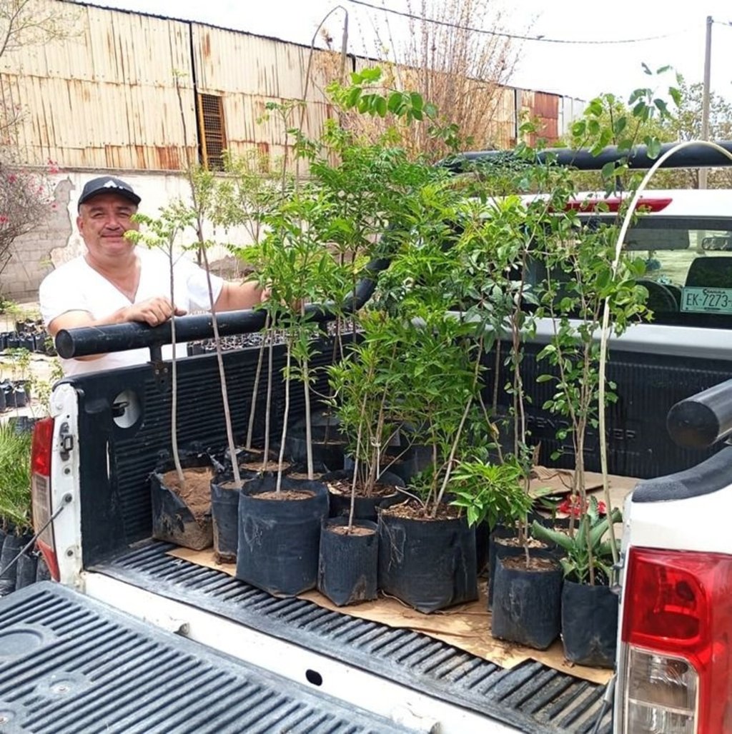 Lugar. La entrega de árboles se realiza en la Dirección de Ecología, en el Parque La Esperanza.