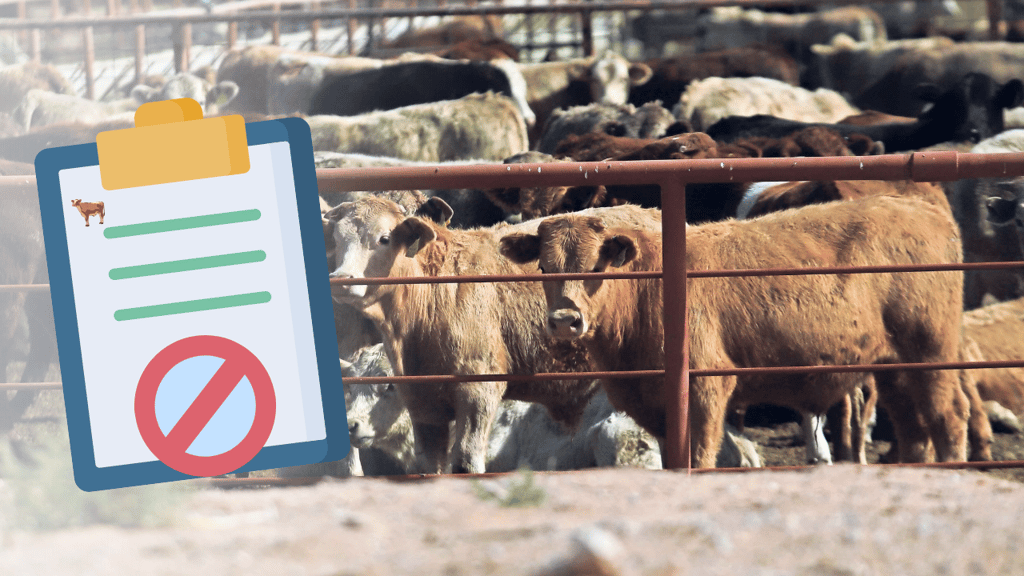 Empresarios de Durango demandan priorizar el ganado nacional