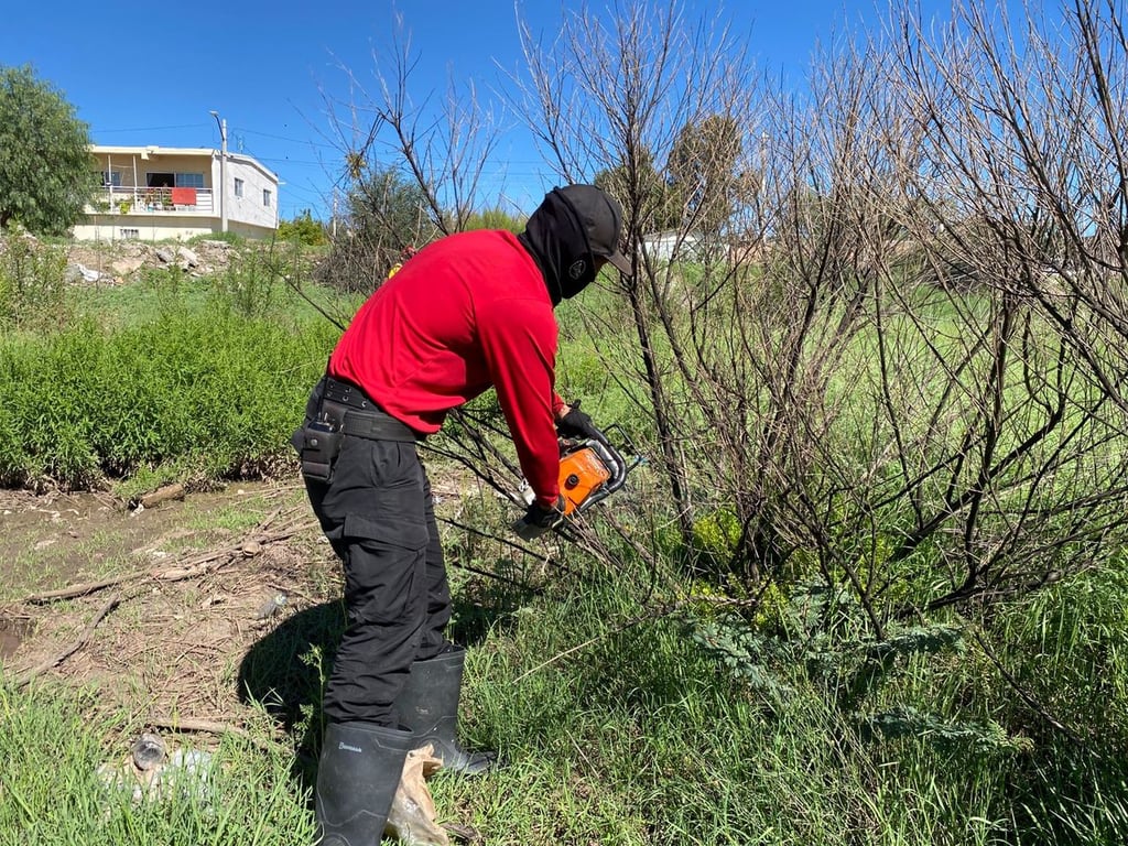 Detectan tramos de bordo del río La Sauceda por reforzar