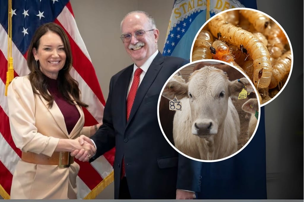 Gusano Barrenador: México y EU avanzan en acuerdos para reactivar importación de ganado