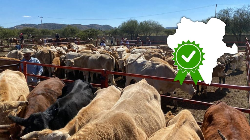 Solo ganado acreditado participará en ExpoGanadera de la Feria Villista: UGRD