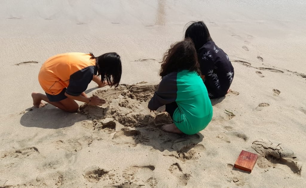 Actividades. Se requiere abrir espacios públicos con cursos gratuitos para niñas, niños y adolescentes.