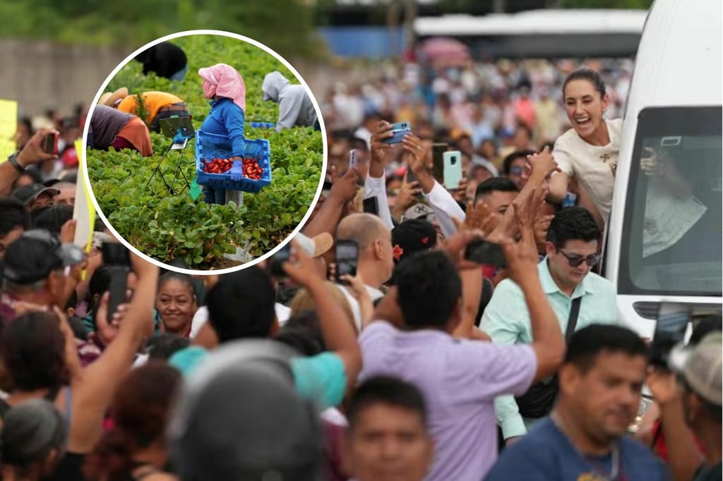 'Son gente honesta, no criminales': Sheinbaum respalda a migrantes mexicanos