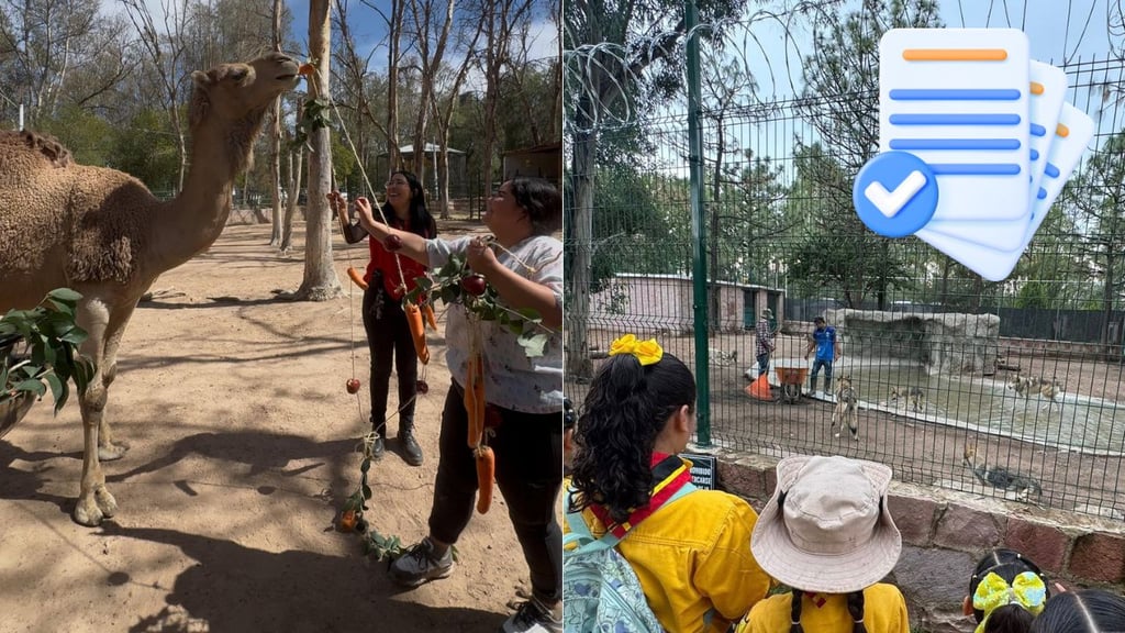 ¿Te gustaría realizar el servicio social en el Zoológico Sahuatoba? Así puedes hacerlo