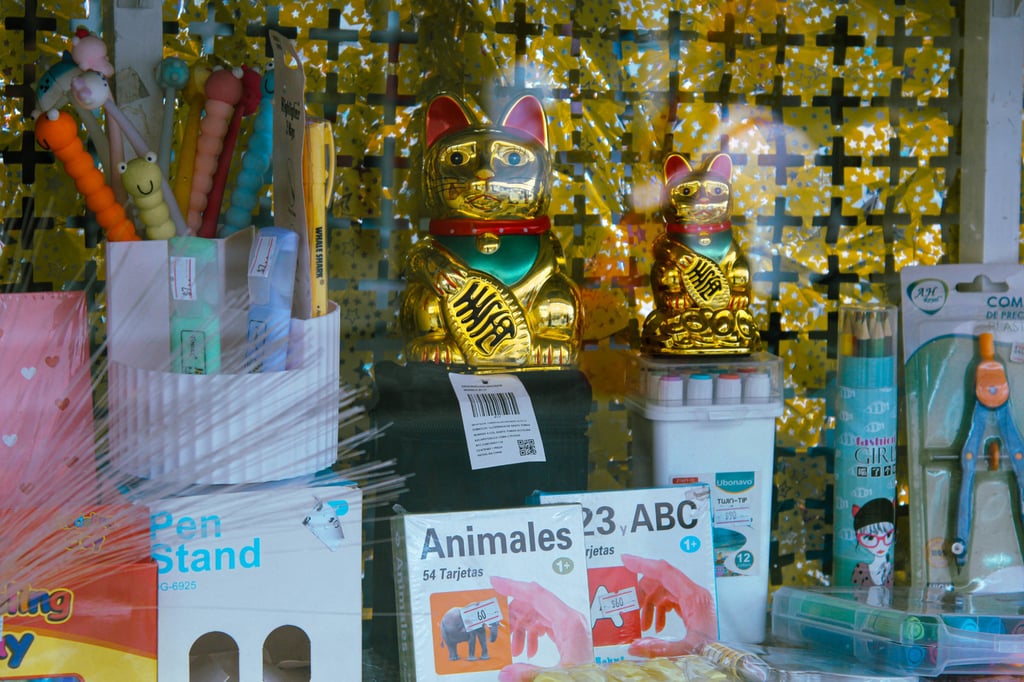 Precio. Los productos que se ofrecen en estos comercios son inferiores a los que pueden dar los locales.