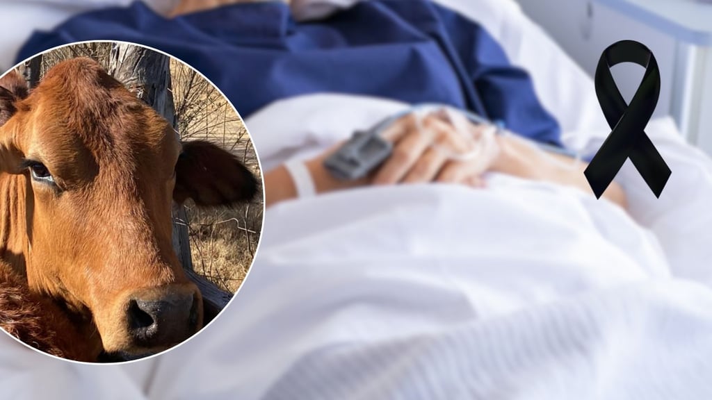 Secretaría de Salud confirma muerte de mujer con miasis causada por gusano barrenador