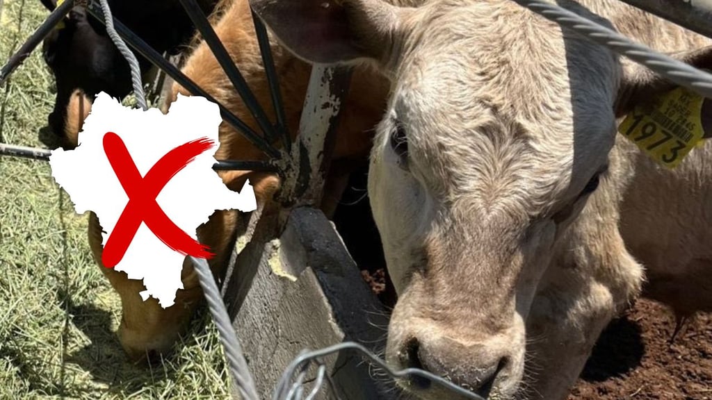 SuKarne no ha comprado ganado a productores de Durango desde hace varias semanas: UGRD