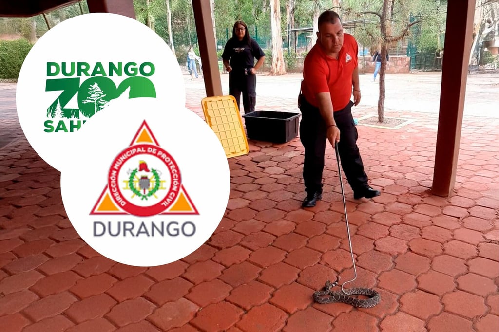 Capacitan a bomberos duranguenses en manejo de fauna silvestre