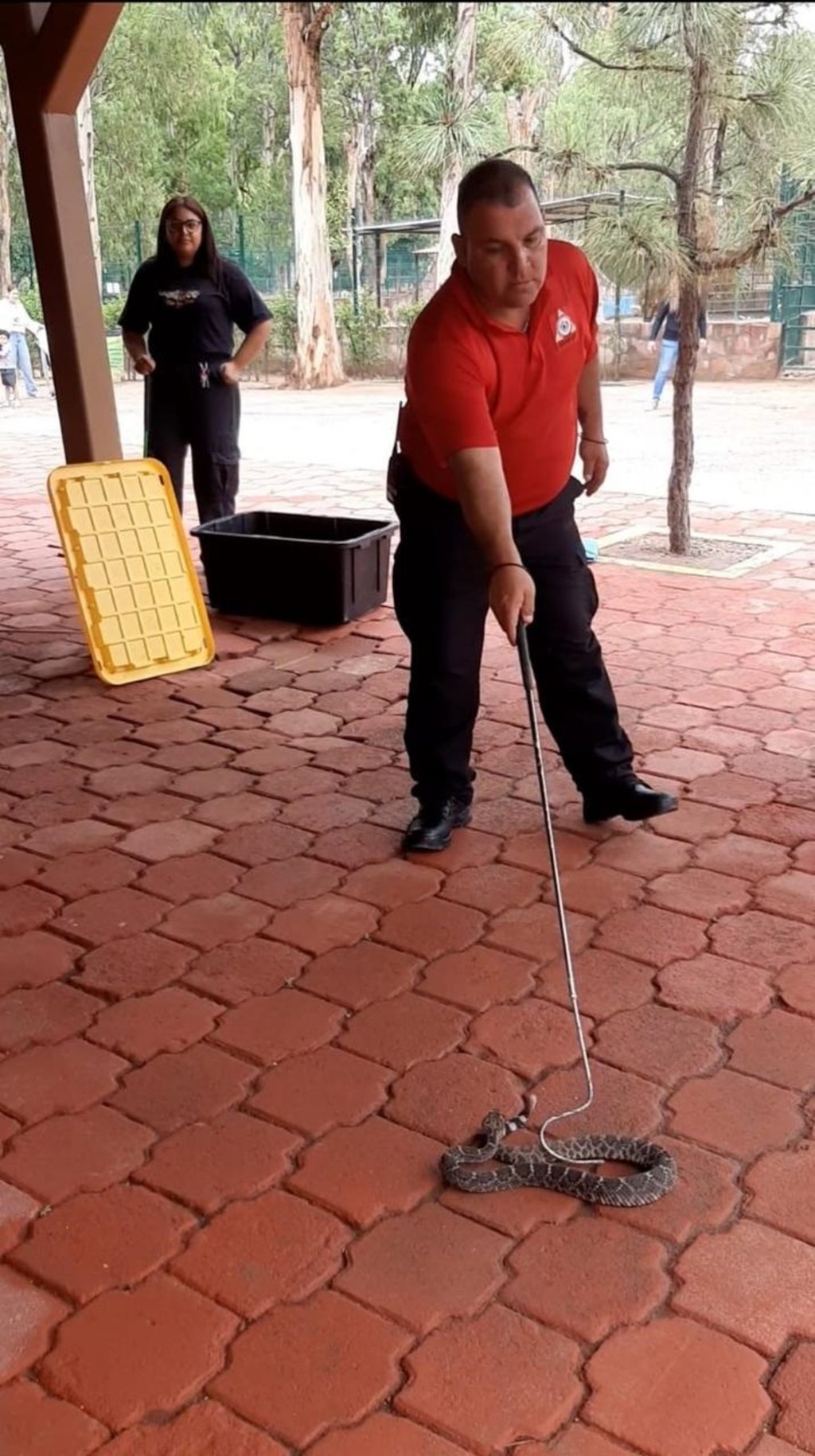 Capacitación. Abordaron técnicas para el manejo responsable de aves, serpientes, zorros, mapaches, felinos, entre otros.