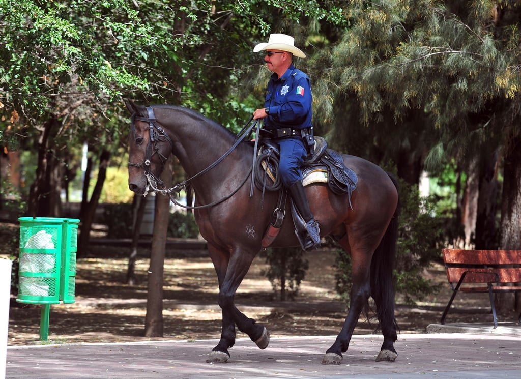 Policía Montada: clave para recorrer parques y zonas naturales de Durango