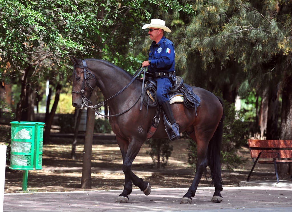 Labores. Su presencia es necesaria en áreas donde los vehículos no pueden ingresar, por lo que su labor es muy importante en puntos concurridos de la ciudad de Durango.