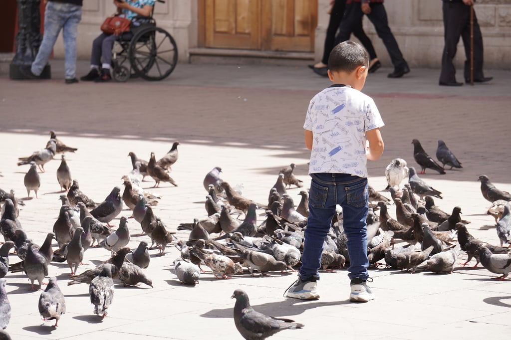 Esfuerzos. Exhortan a la población a que los infantes tengan mayor contacto con su entorno.
