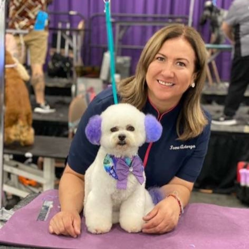 Creatividad. No solo es un corte de cabello, se requiere todo un trabajo creativa.