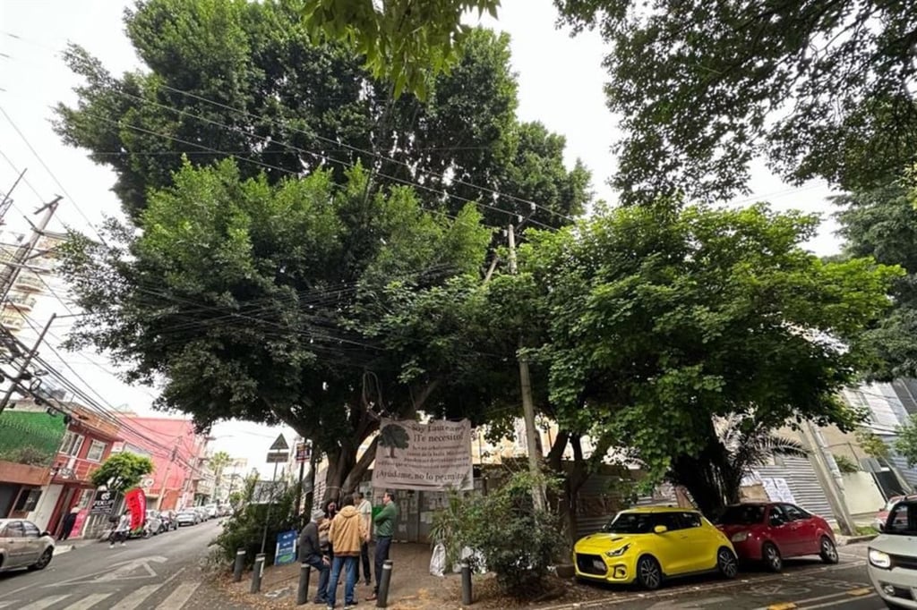 Este evento tiene importancia para el entorno y de una cultura ciudadana a favor del medio ambiente.