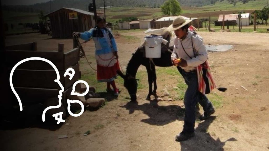 El 14% de los duranguenses se considera indígena; solo el 2% habla lengua originaria, según encuesta