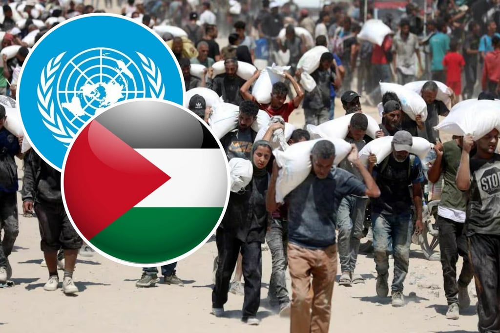 ONU advierte que suspenderá su ayuda en Gaza si se mantienen restricciones de Israel a ONG
