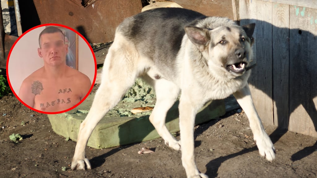 Escalofriante caso del asesino serial que le daba de comer restos humanos a sus perros