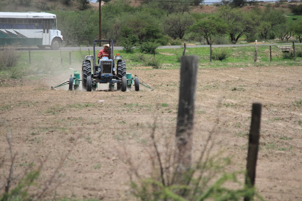 Clasificación. El 80 por ciento de cultivos en el municipio de Durango es de temporal; el ciclo de siembra de frijol cerró el 31 de julio, de acuerdo con la calendarización de autoridades y de los propios campesinos.