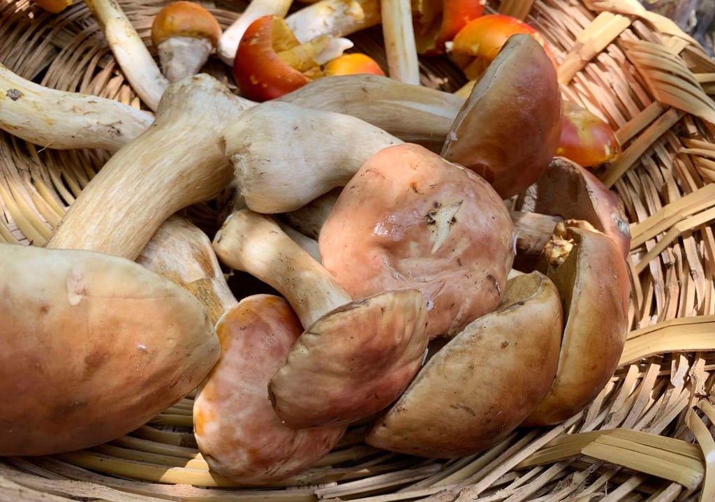 Actividades. Se programaron diversas actividades como parte de esta Feria que se realiza en Pueblo Nuevo.