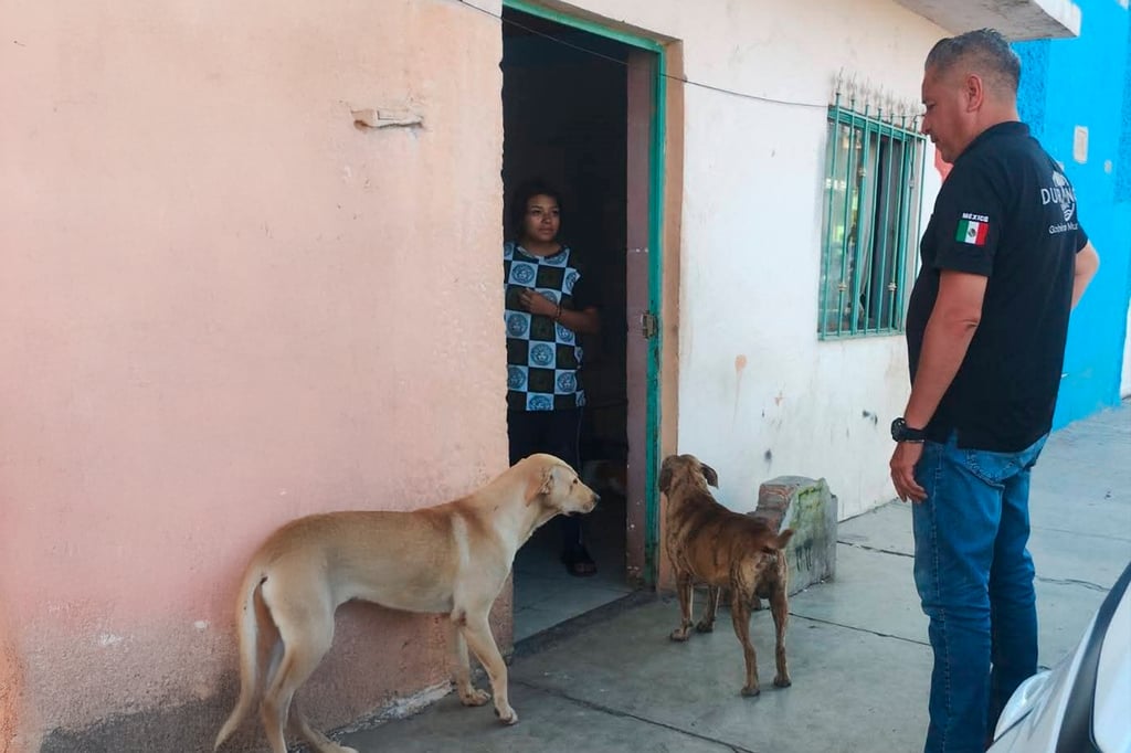 En Durango, las mascotas deben permanecer dentro de los domicilios