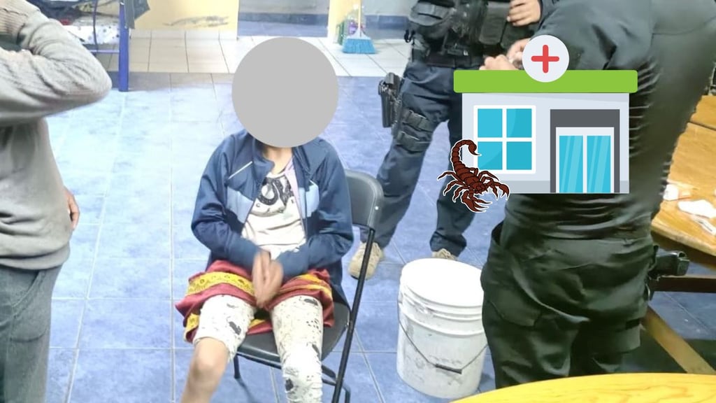 Auxilian a menor que fue picada por un alacrán en zona indígena de Mezquital