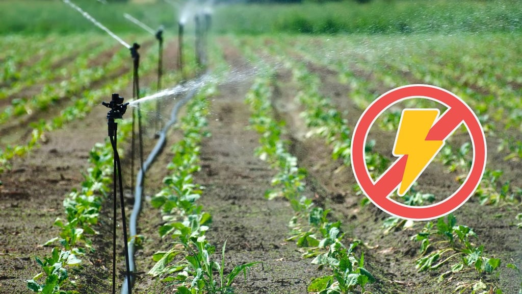 Apagones de la CFE generan pérdidas a productores de Durango