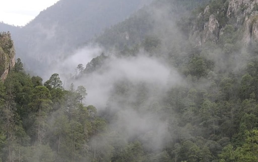 Sector. La única zona donde se esperan lluvias toda la semana es la Sierra de Durango.