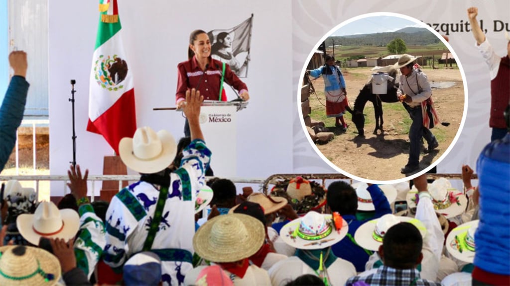 Cumple casi un año sin avances la orden presidencial de electrificar zona indígena en Durango