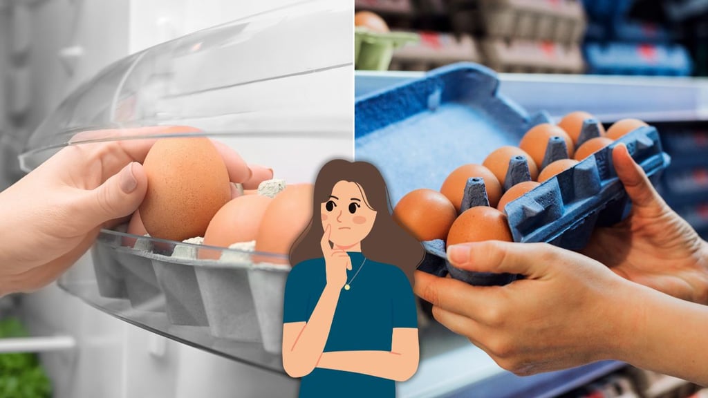 ¿Los huevos se deben guardar en el refrigerador? Esto dicen expertos sobre su almacenamiento