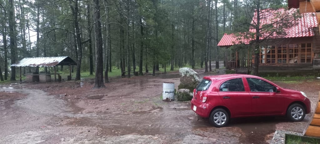 Centros ecoturísticos, opción para vacacionar