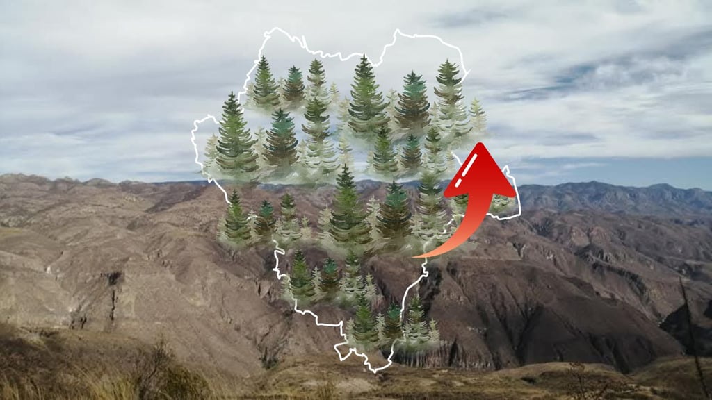 Durango es el estado con mayor superficie forestal certificada