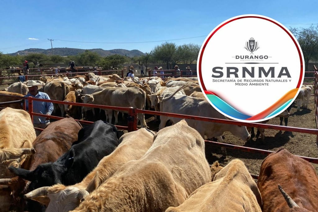 'La ganadería es de los sectores que más contaminan', afirma la SRNyMA