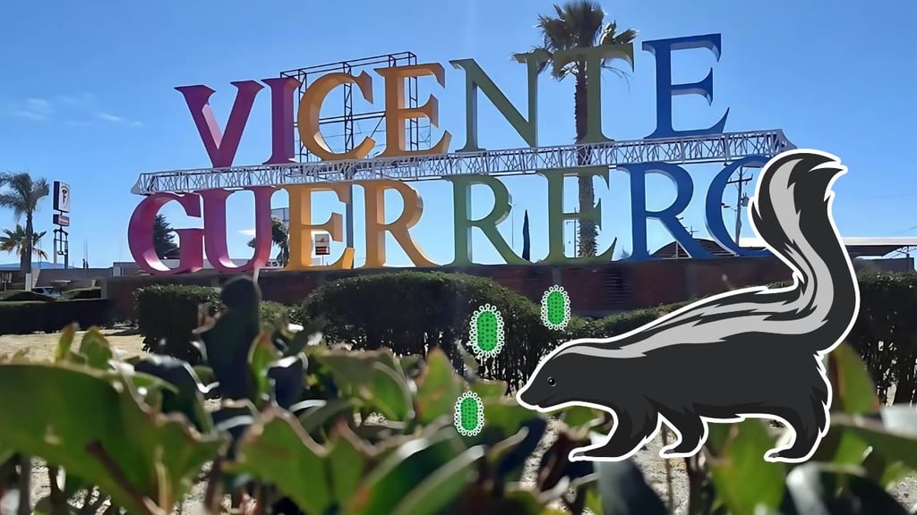 ¿Hay un caso de rabia humana en Durango?, esto sabemos sobre lo ocurrido en Vicente Guerrero