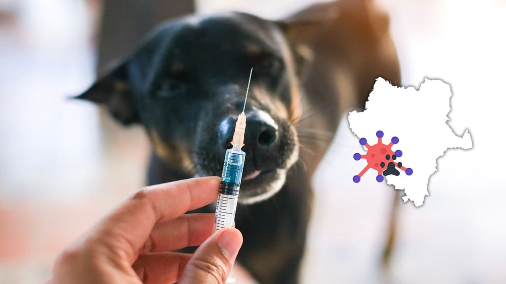 Durango, con déficit de vacunas contra la rabia para mascotas