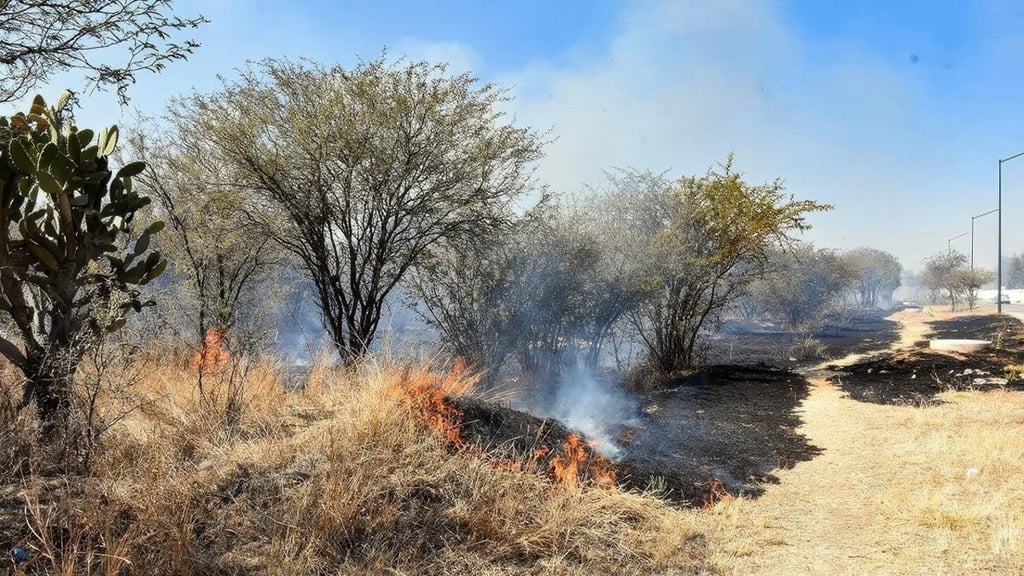 El riesgo aumenta cuando los incendios ocurren cerca de zonas habitadas o áreas agrícolas.