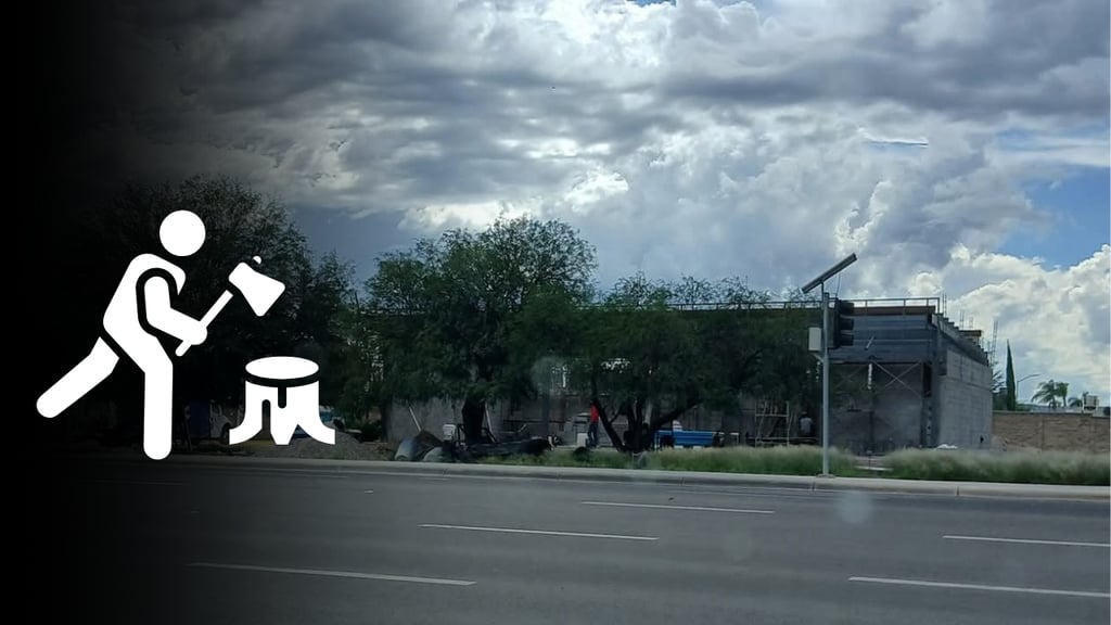 Denuncian intento por derribar árboles para construir estacionamiento de farmacia en Durango