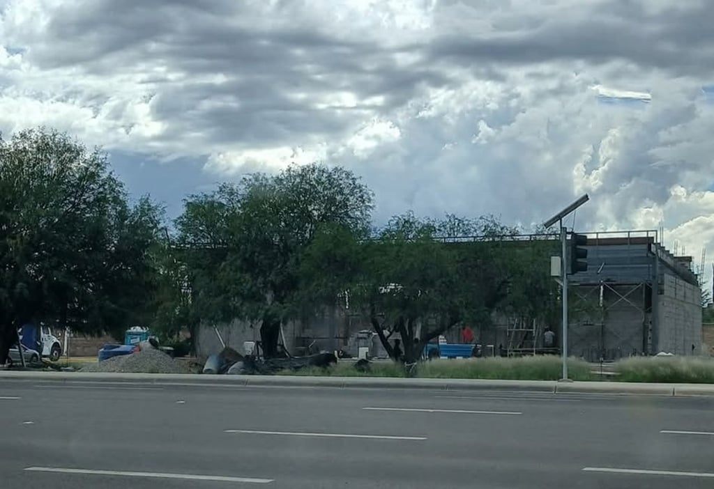 Construcción. El proyecto de la obra se encuentra en proceso; presuntamente, se incluye el derribo de los árboles para que se pueda acceder al estacionamiento.