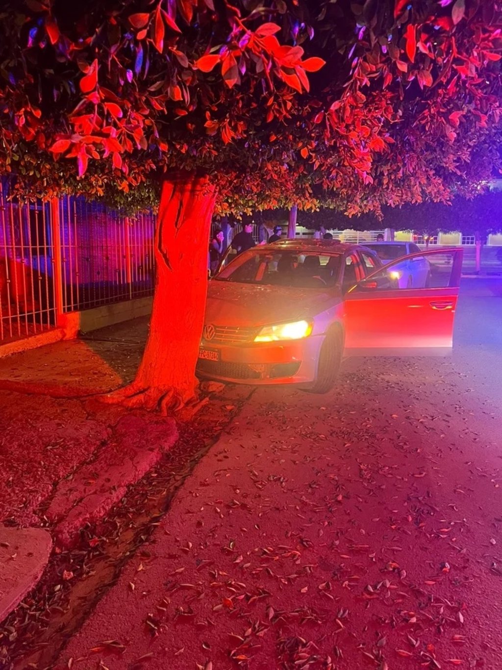 Accidente. Un conductor de 18 años chocó contra árbol en Gómez Palacio.