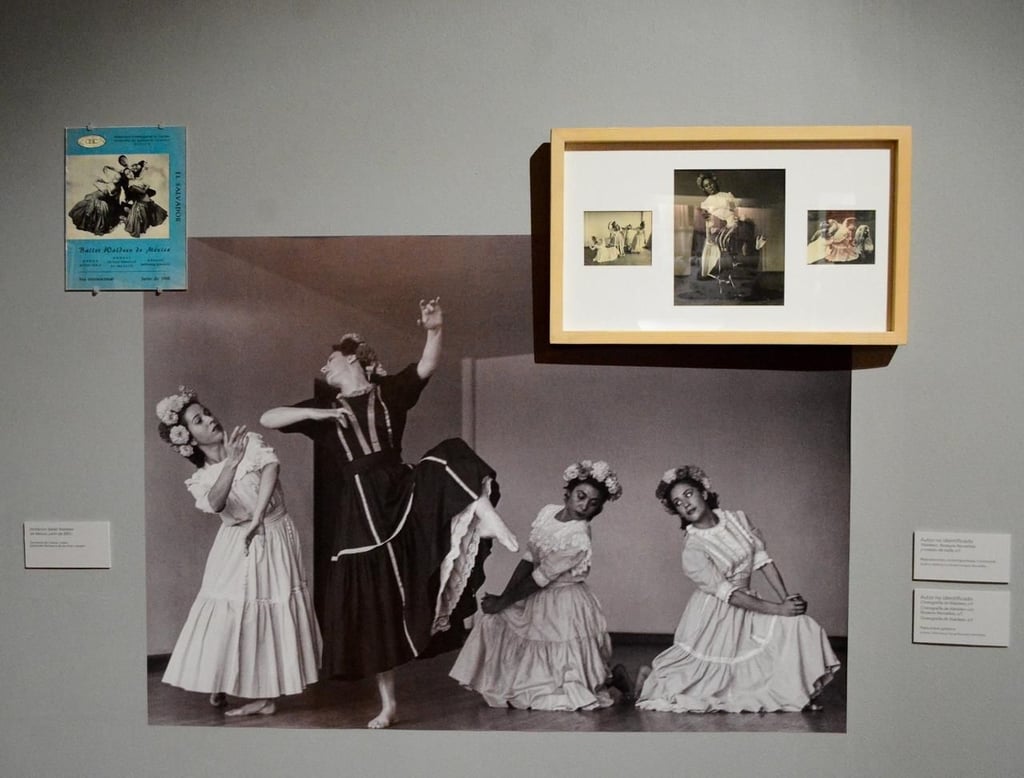 Contiene fotografías de la familia, como una de Rosaura Revueltas durante su etapa actoral en Alemania, bajo la dirección de Bertolt Brecht.