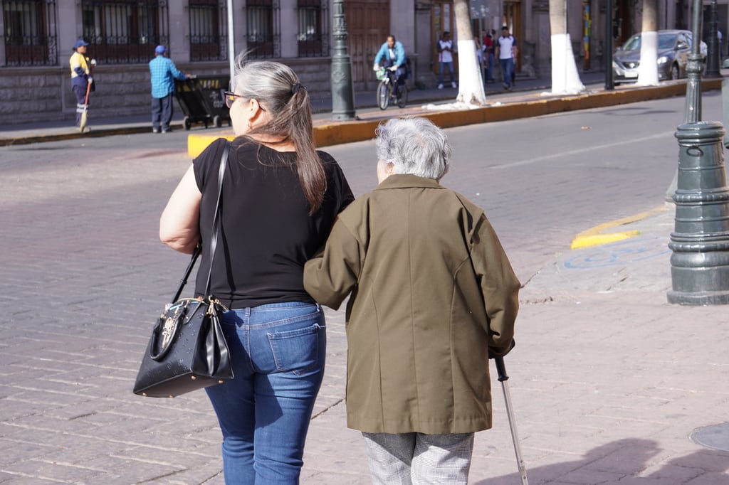 Relevancia. Las personas cuidadoras afrontan diversas adversidades diariamente y sin apoyo institucional.