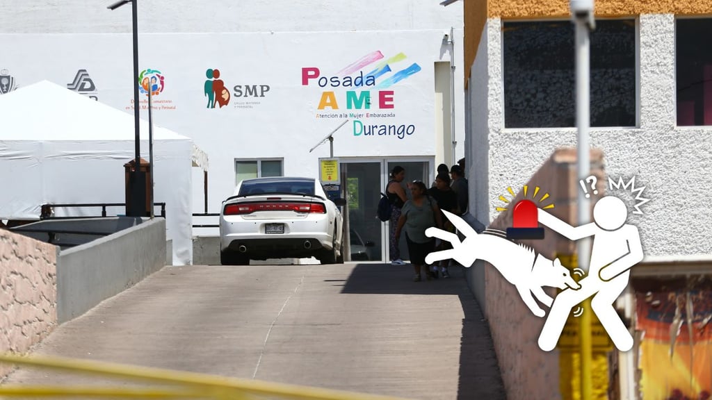 Adolescente es atacado por un pitbull en la División del Norte