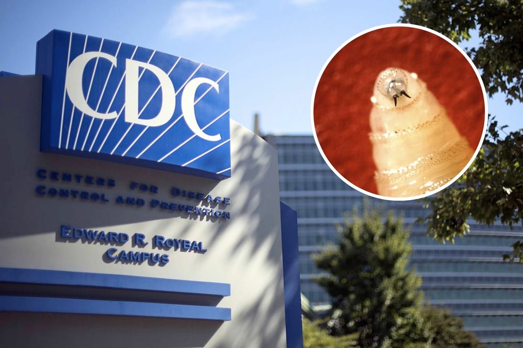 Gusano Barrenador: Autoridades confirman primer paciente en Estados Unidos