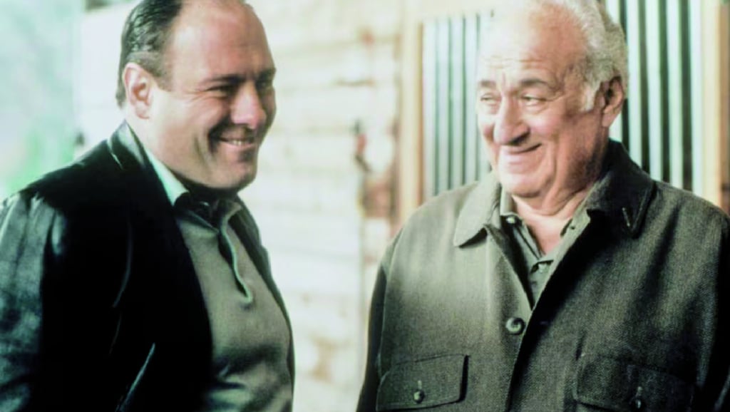 Rol. En la aclamada serie de HBO, Adler interpretó a Hesh Rabkin, uno de los mano derecha de Tony Soprano.